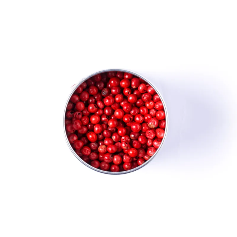 TERRE EXOTIQUE Poivre|Baies Roses 75 g