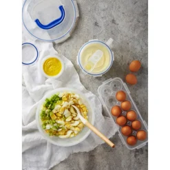 LOCK AND LOCK Conservation|Boîte 12 Œufs Plastique 32 x 13 cm x H 7,5 cm