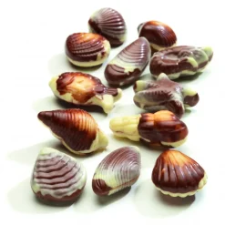 HAMLET Chocolats À Offrir|Boîte de Chocolat Fruits de Mer 3.5 kg