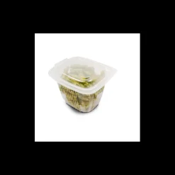 CUISINEADDICT Conservation|Boîte Plastique avec Couvercle 750 ml 14,2 x 12,3 cm x H 10,5 cm (x50) Ondipack