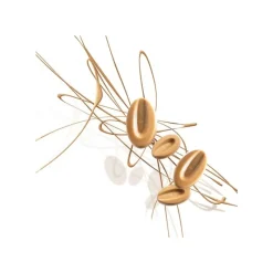 VALRHONA Chocolat De Couverture|Chocolat de Couverture Blond Dulcey 35% 1kg