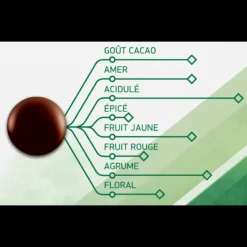 BARRY Chocolat De Couverture|Chocolat Noir Evocao 72% 2,5 kg