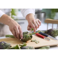 OPINEL Couteau D'office|Eplucheurs, Dénoyauteur|Coffret 2 Couteaux de Cuisine et un Eplucheur Les Essentiels +