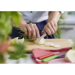 OPINEL Couteau D'office|Eplucheurs, Dénoyauteur|Coffret 2 Couteaux de Cuisine et un Eplucheur Les Essentiels +