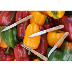 OPINEL Couteau D'office|Eplucheurs, Dénoyauteur|Coffret 3 Couteaux de Cuisine et un Eplucheur Les Essentiels