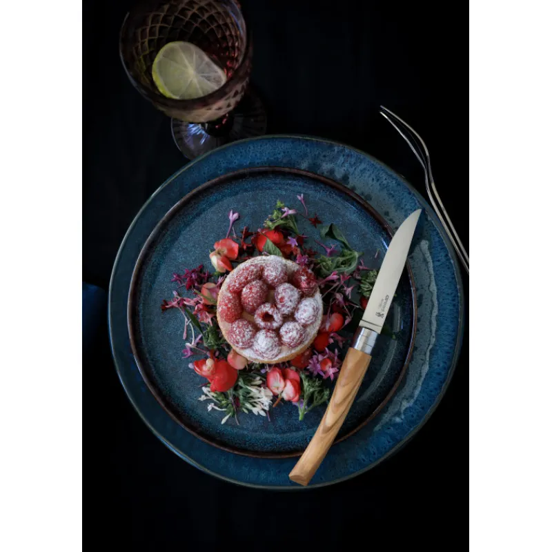 OPINEL Couverts|Coffret 4 Couteaux de Table Olivier Table Chic