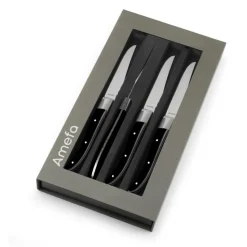 AMEFA Couverts|Coffret 4 Couteaux Steak Royal Steak Noir 22,5 cm