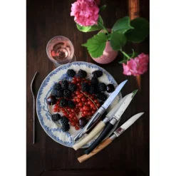 OPINEL Couverts|Coffret Panaché 4 Couteaux de Table Table Chic