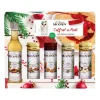 MONIN Jus, Sirops|Coffret Sirops Pour Boissons Chaudes Noël (x5)
