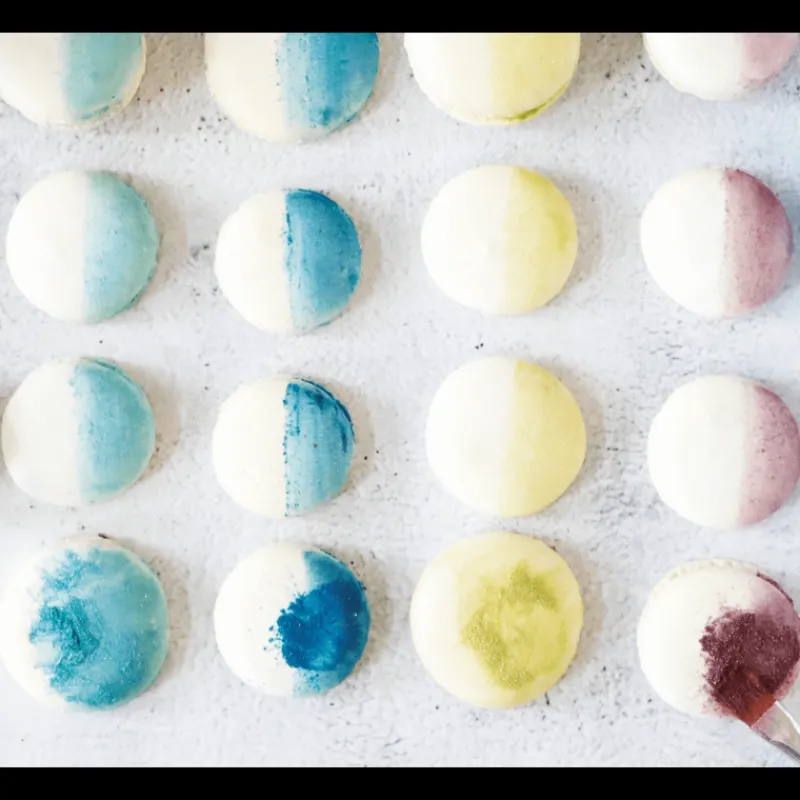 SCRAPCOOKING Colorants Alimentaires|Colorant Alimentaire de Surface Irisé Turquoise 5 g