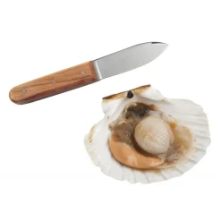 La Bonne Graine Couteau À Poisson|Couteau Coquille Saint Jacques Tellier