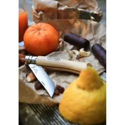 OPINEL Couverts|Couteau de Poche N°10 en Inox