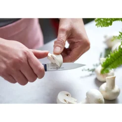 OPINEL Couteau D'office|Couteau d'Office N°225 Intempora