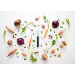 OPINEL Couteau D'office|Couteau d'Office N°225 Intempora