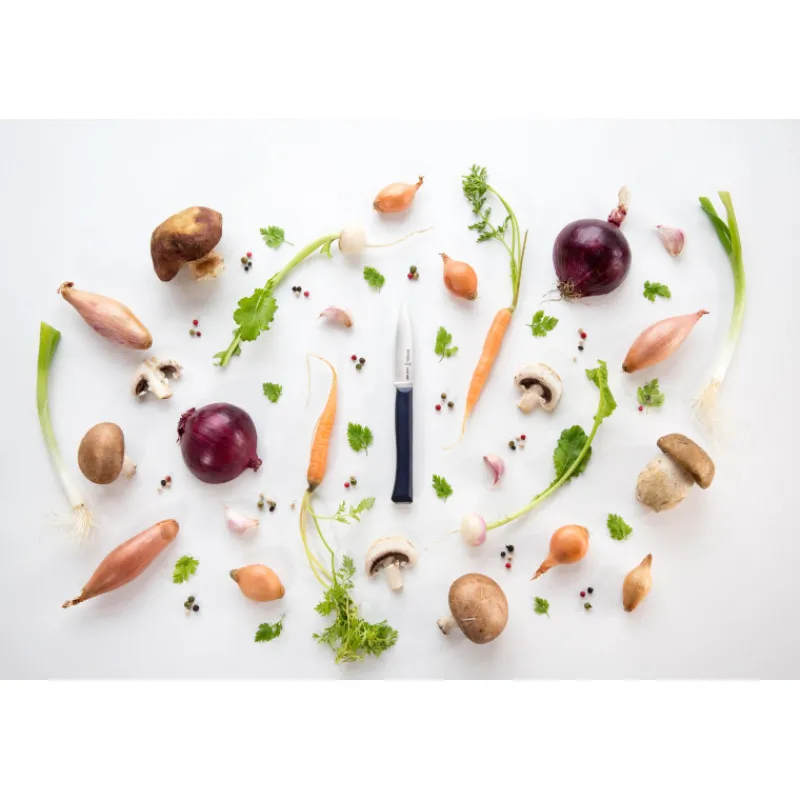 OPINEL Couteau D'office|Couteau d'Office N°225 Intempora