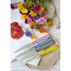 OPINEL Couverts|Couteaux de Table (x4) Campagne Bon Appétit !