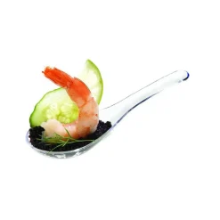 MALLARD FERRIERE Servir, Présenter|Cuillères Chinoise jetable x50