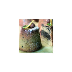 FLEXIPAN Moule Silicone|Darioles - Moule silicone