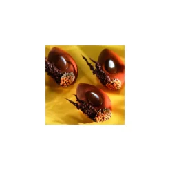 FLEXIPAN Moule Silicone|Demi-oeuf Savarin - Moule silicone