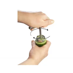 La Bonne Graine Coupe Fruits|Evideur Fruits et Légumes Le Petit Farceur Inox