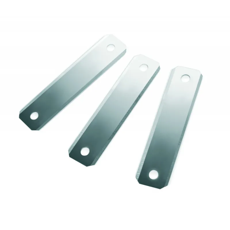 IBILI Eplucheurs, Dénoyauteur|FIN DE SERIE Lame de Rechange Inox pour Éplucheur à Asperge (x3)