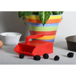 YOOCOOK Coupe Fruits|FIN DE SERIE Peigne plastique à mûres et myrtilles