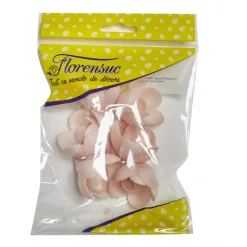 FLORENSUC Produits Bio|Décoration Comestible|Fleur Azyme Bio Rose Rose 4 cm x6