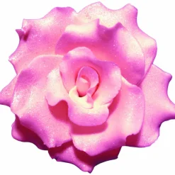 MALLARD FERRIERE Décoration Comestible|Fleur en sucre Rose frisées couleur rose Ø 7 cm Mallard Ferrière