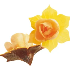 FLORENSUC Décoration Comestible|Fleurs de Jonquille orange x5 - en Azyme