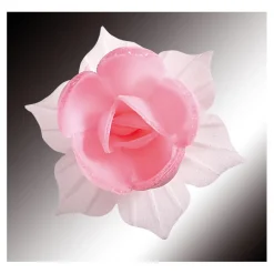 FLORENSUC Décoration Comestible|Fleurs de Jonquille rose x5 - en Azyme