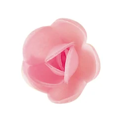 FLORENSUC Décoration Comestible|Fleurs de rose blanches et roses x6, grandes feuilles x12 - en Azyme