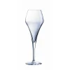 CHEF ET SOMMELIER Verres|Flûte Arom Up 21 cl (x6)