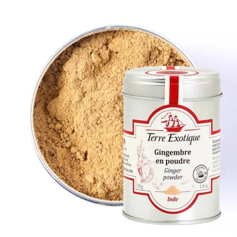 TERRE EXOTIQUE Epices|Gingembre en Poudre Biologique 50 g