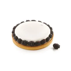 SILIKOMART Moule Silicone|Moules À Gâteaux|Kit Moule Silicone 1 Tarte Ø 210mm Professional