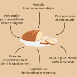 PATISDECOR Levures|Levain blé dur pour pain et levure 150 g Patisdécor