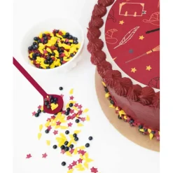 SCRAPCOOKING Décoration Comestible|Mallette décors en sucre Wizard Mix 61g