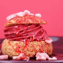 PATISDECOR Préparation Pâtisserie|Mix Sorbets Maison 300 g Patisdécor