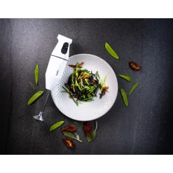 BAMIX Mixeur Plongeant|Mixeur Plongeant Sans Fil Cordless Blanc