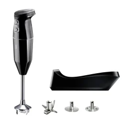 BAMIX Mixeur Plongeant|Mixeur Plongeant Sans Fil Cordless Noir