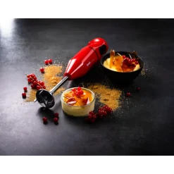 BAMIX Mixeur Plongeant|Mixeur Plongeant Sans Fil Cordless Rouge