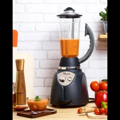 SANTOS Préparation|Blender|Mixeur Professionnel 2L N°37