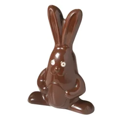 BARRY Moules À Chocolat|Moule à Chocolat Lapin 19 cm