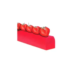 MALLARD FERRIERE Moules À Gâteaux|Moule Bûchette (x12)