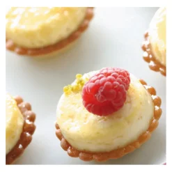 FLEXIPAN Moule Silicone|Moule Silicone 54 Mini-cylindres 3,8 cm x H 1 cm