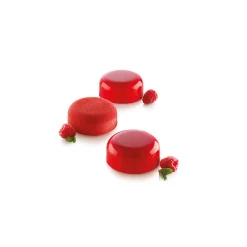 SILIKOMART Moule Silicone|Moules À Gâteaux|Moule Silicone 6 Minis Moules à Manqué Ø67 x h27 mm 90ml Professional