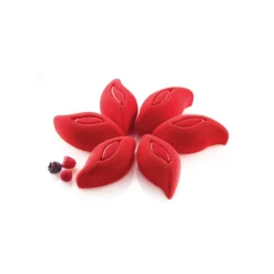 SILIKOMART Moule Silicone|Moules À Gâteaux|Moule Silicone 6 Pétales de fleurs 11,4 x 5,7 cm 120ml Professional