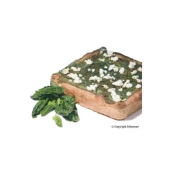 SILIKOMART Moule Silicone|Moules À Gâteaux|Moule Silicone Carré professionnel 228 x 228 mm