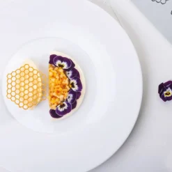 PAVONI Moules À Chocolat|Décoration Comestible|Moule Silicone Gourmand Rayon de Miel 6,7 x 6 x H 0,2 (x8)