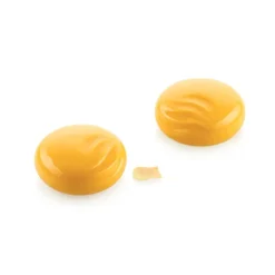 SILIKOMART Moule Silicone|Moule Silicone Océan Ø 7 x H 3 cm (x6)