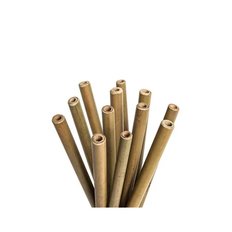 LEBRUN Accessoires Bar|Paille en Bambou 20cm x12